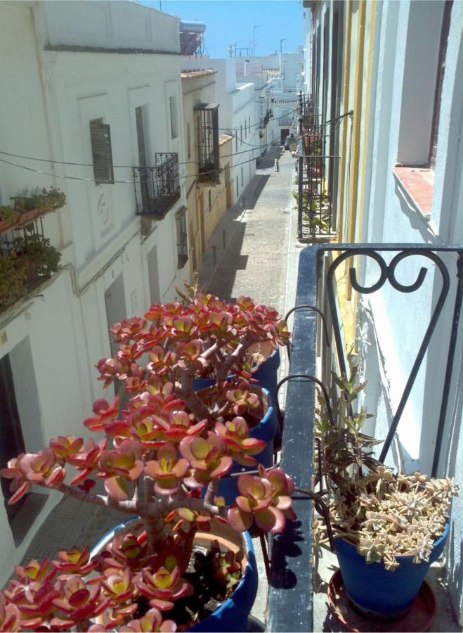 acogedor estudio en casco antiguo Appartamento Tarifa Esterno foto